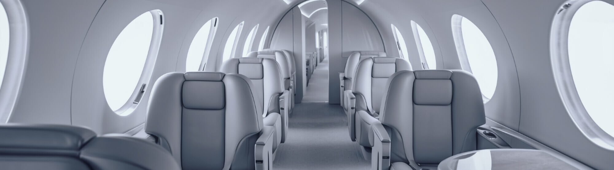 JetZen Flight Requirement